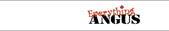 EverythingAngus