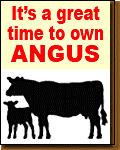 Great Time to Own Angus