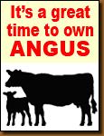 Great Time to Own Angus